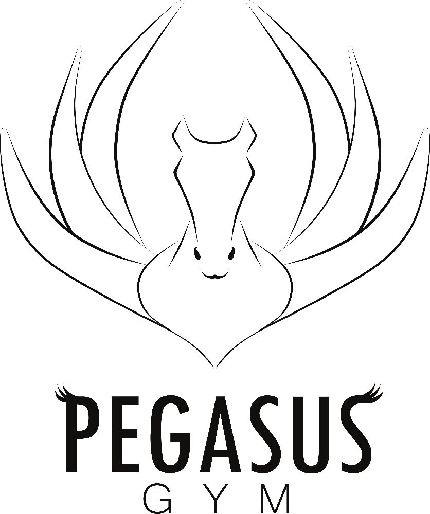 Pegasus Gym